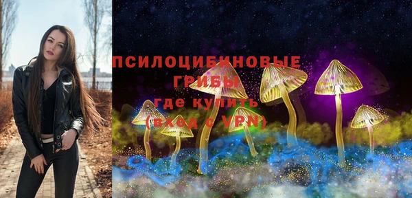 гидропоника Кукмор
