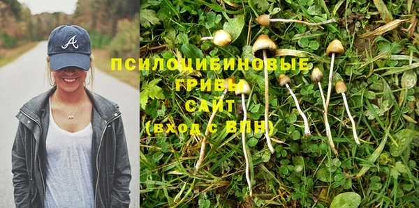 гидропоника Кукмор